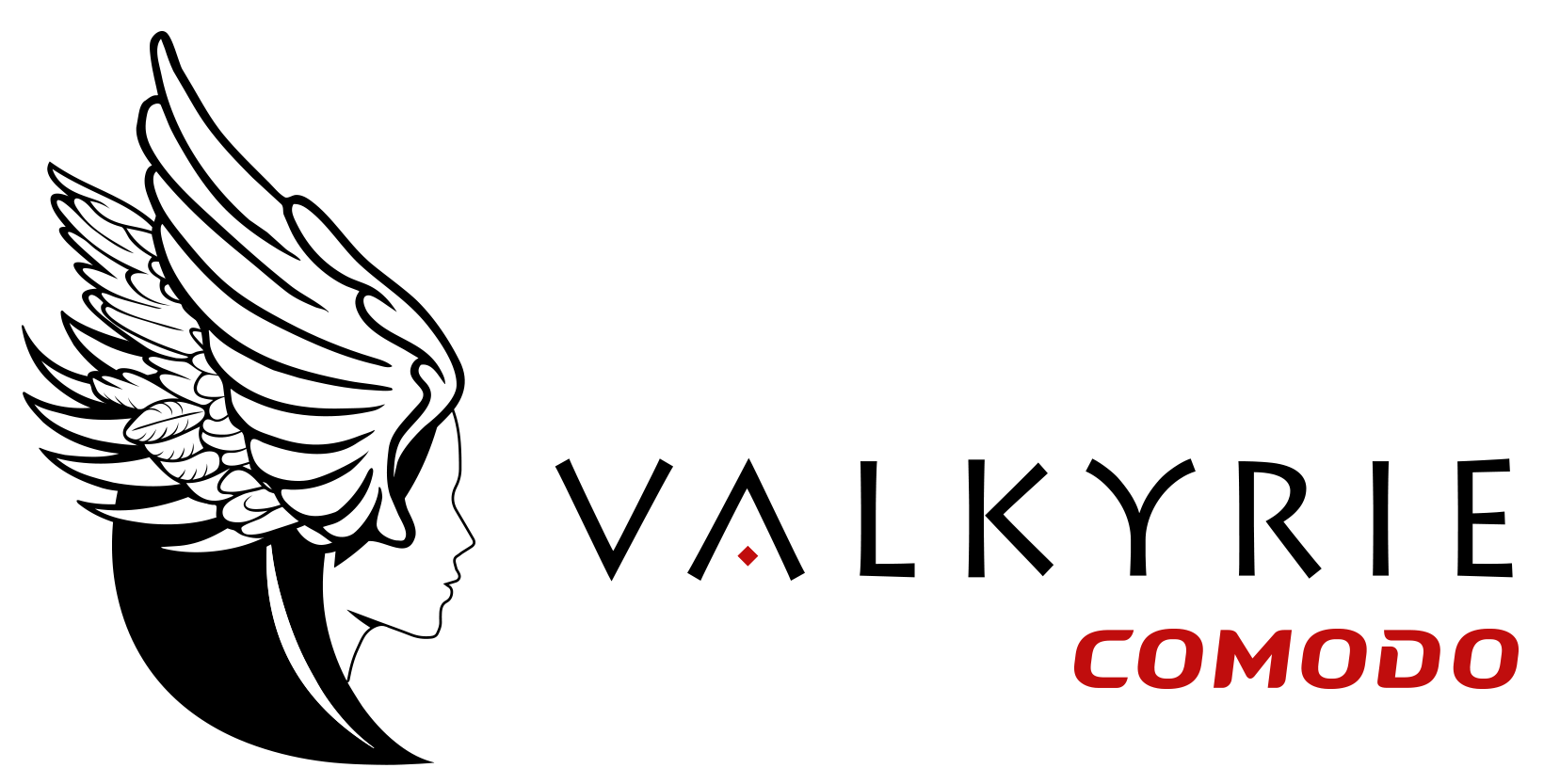 Valkyrie Verdict